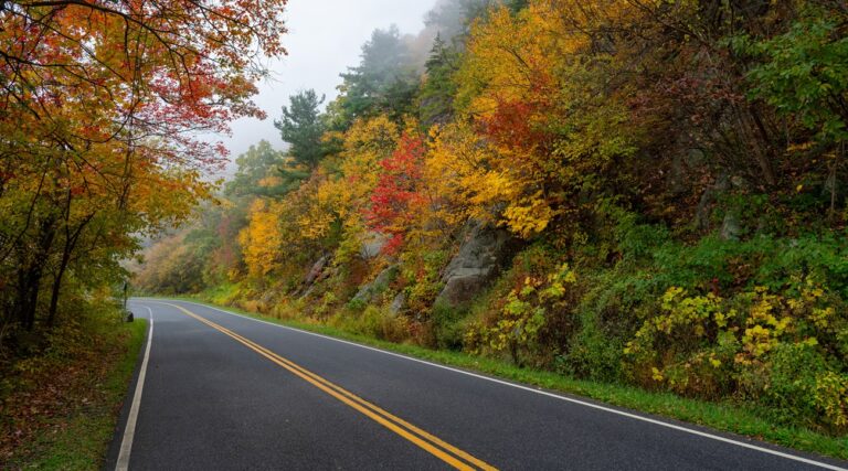 4 National Parks Within Driving Distance From Washington DC